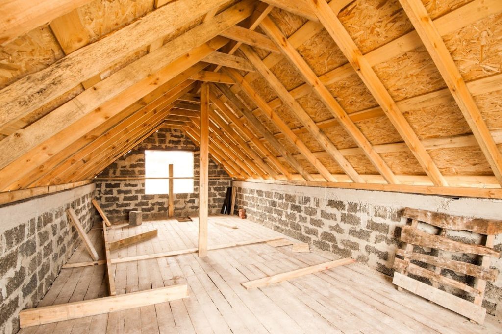 Household pests that prefer the attic