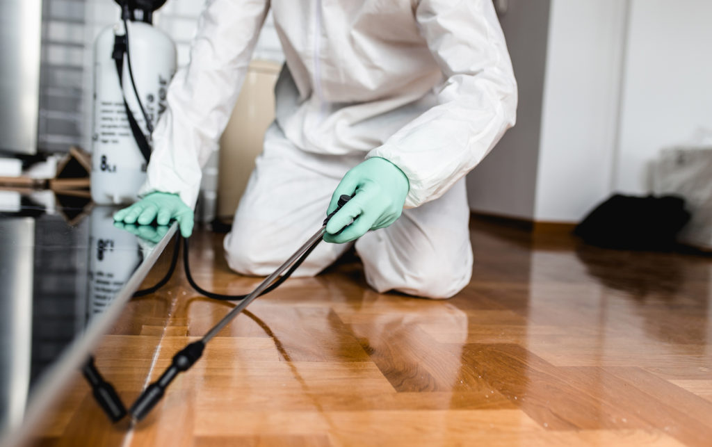 Home escrow pest inspection