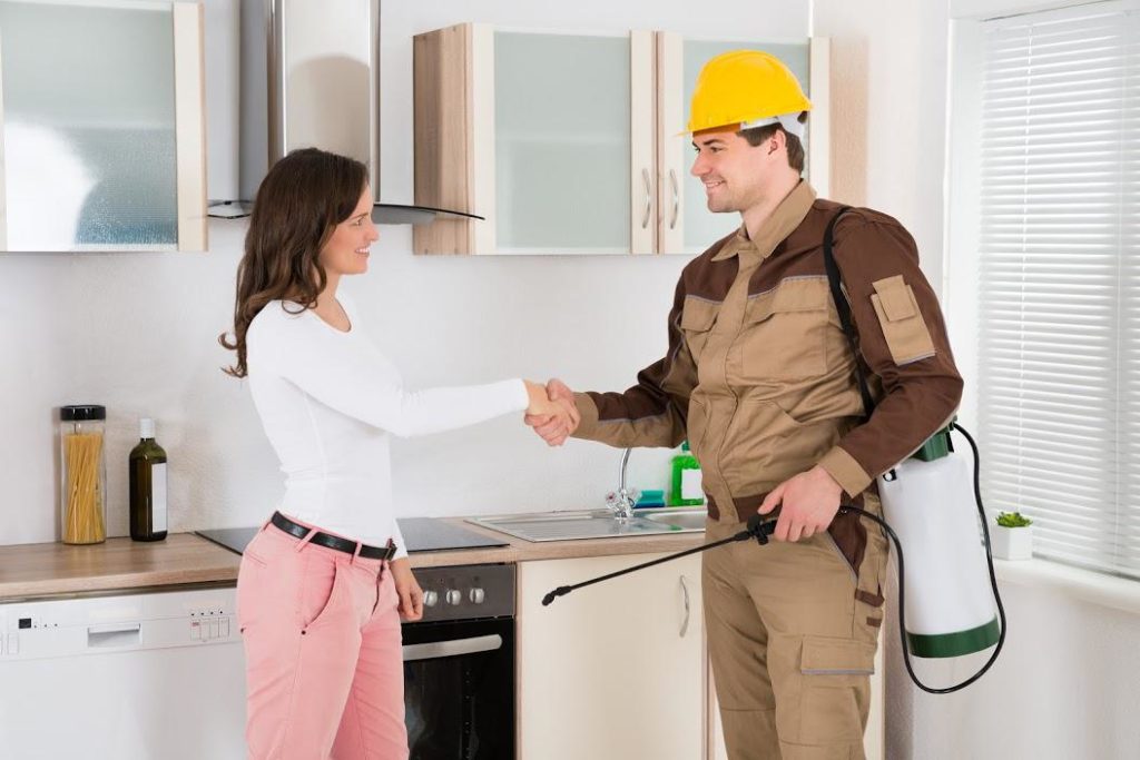 Pest free rental properties